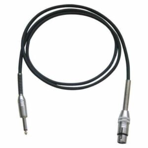 Bespeco IROMA300P