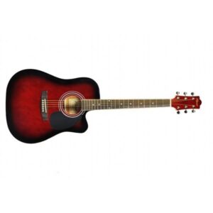 Flame Pro DG 200 CE RDS