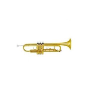 Parrot 6416L-1