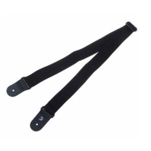 Daddario PWS100