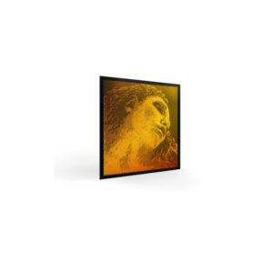 Set corzi viola Evah Pirazzi Gold