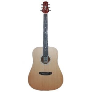 Chitara acustica 4/4 Ashton D20S NTM