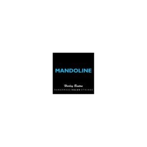 Corzi mandolina Harley Benton
