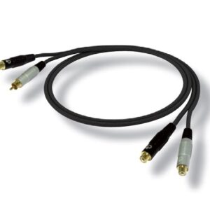Bespeco EA2X300