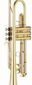Parrot 6416 L