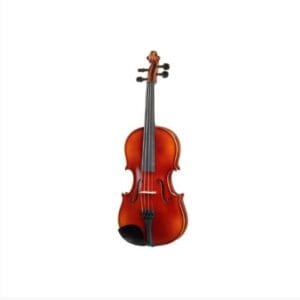 Set de vioara 4/4 antichizata Roth-Junius RJV-A cu arcus si cutie