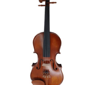 Karl Hoffmeister MV015B Advanced Vioara 4/4